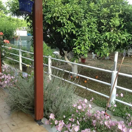 Lalu * Skiathos Town